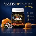 Manuka Honig 650 MGO